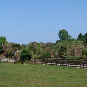 View from the bison to gemsbok exhibit -Parque de la Naturaleza de Cabárceno (2025)
