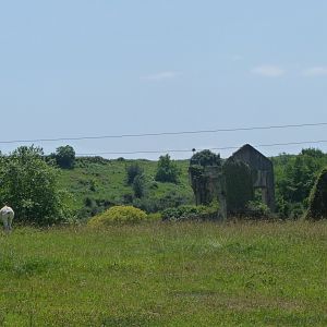 Cape buffalo and Addax exhibit -Parque de la Naturaleza de Cabárceno (2025)