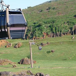 View from elephant exhibit -Parque de la Naturaleza de Cabárceno (2025)