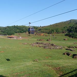 African bush elephant, South-European water buffalo and Kafue flats lechwe exhibit -Parque de la Naturaleza de Cabárceno (2025)