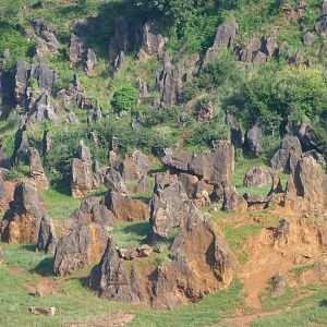 View from elephant exhibit -Parque de la Naturaleza de Cabárceno (2025)