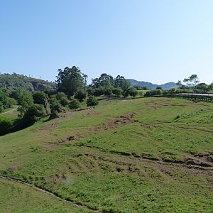 Grant's zebra exhibit -Parque de la Naturaleza de Cabárceno (2025)