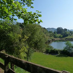 Common hippopotamus exhibit -Parque de la Naturaleza de Cabárceno (2025)