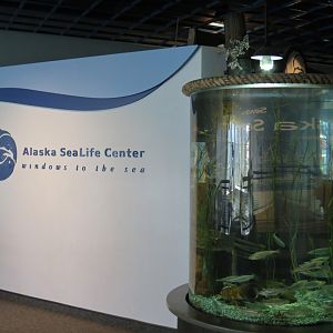 Entrance Exhibit