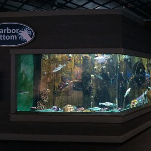 Harbor Bottom Exhibit