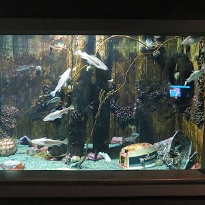 Harbor Bottom Exhibit