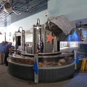 Rocky Coast Discovery Pools