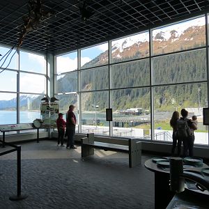 Outdoor Pool Overlook