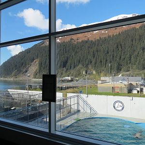 Outdoor Pool Overlook - Rehab and Study Pools