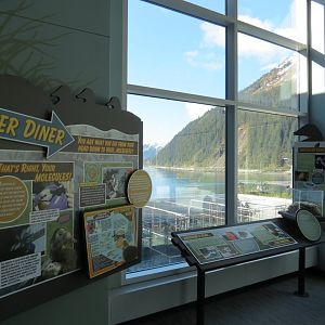 Outdoor Pool Overlook - Eider Research Graphics