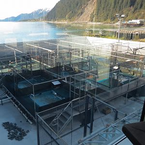 Outdoor Pool Overlook -Rehab and Study Pools