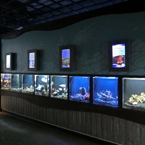 A Closer Look Exhibits