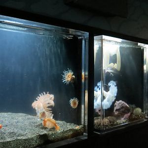 A Closer Look Exhibits