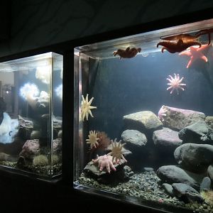 A Closer Look Exhibits