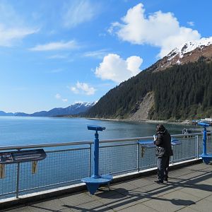 Resurrection Bay Overlook