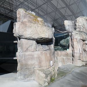 Seabird Habitat - Exterior Viewing Area