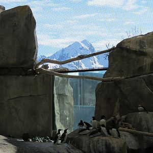 Seabird Habitat