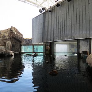 Seabird Habitat