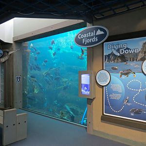 Seabird Habitat - Underwater Viewing Area