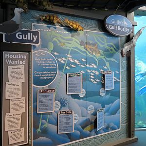 Seabird Habitat - Underwater Viewing Area Graphics