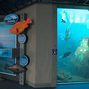Seabird Habitat - Underwater Viewing Area