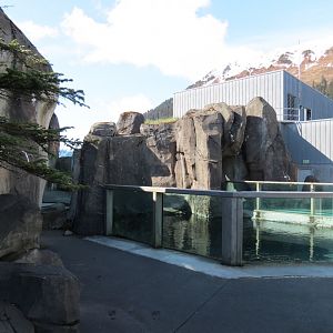 Alaska's Seals Habitat - Outdoor Viewing Area
