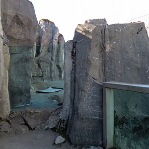 Alaska's Seals Habitat - Outdoor Viewing Area