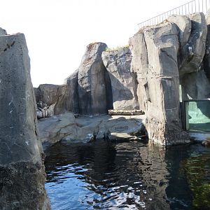 Alaska's Seals Habitat