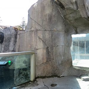 Alaska's Seals Habitat - Outdoor Viewing Area