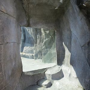 Alaska's Seals Habitat - Outdoor Viewing Area