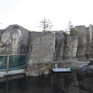 Alaska's Seals Habitat