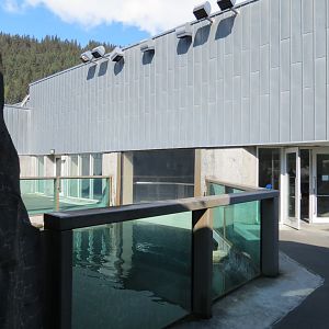 Alaska's Seals Habitat - Outdoor Viewing Area