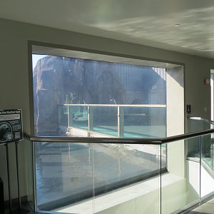 Alaska's Seals Habitat - Viewing Window in Rocky Coast Gallery