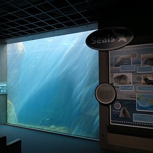 Alaska's Seals Habitat - Underwater Viewing Area