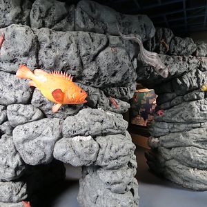 Octo Grotto Exhibit - Entrance