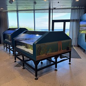 Main room (Naturum Östersund / Marine Education Center)