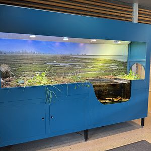 The plant exhibit (Naturum Östersund / Marine Education Center)