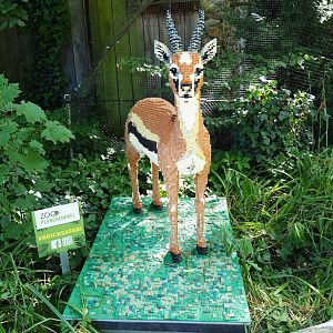 Brick Safari temporary summer event -Lego Thomson's gazelle, 2023-07-08