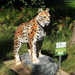 Brick Safari temporary summer event -Lego Lynx, 2023-07-08