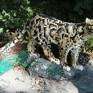 Brick Safari temporary summer event -Lego Clouded leopard, 2023-07-08