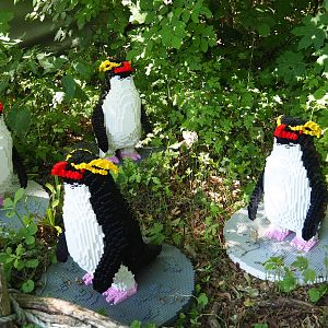 Brick Safari temporary summer event -Lego Rockhopper penguins, 2023-07-08