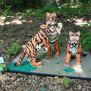 Brick Safari temporary summer event -Lego Tiger cubs, 2023-07-08