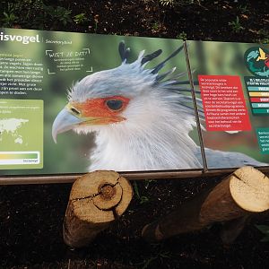 Umvikeli - Secretary bird signage, 2025-06-09
