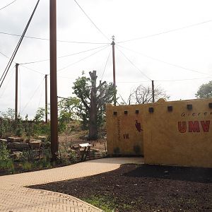 Umvikeli - New aviary for vultures, secretary birds and other African birds - View of aviary and viewing building from the outside, 2025-06-09