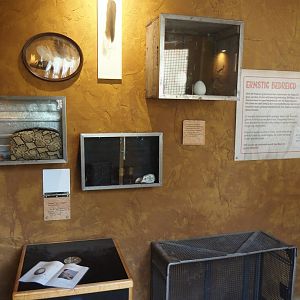 Umvikeli - New aviary for vultures, secretary birds and other African birds - Conservation projects materials in entrance area, 2025-06-09