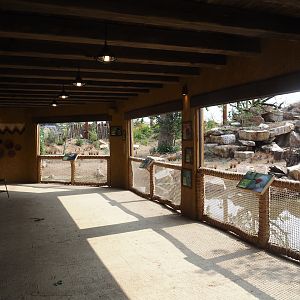 Umvikeli - New aviary for vultures, secretary birds and other African birds - Aviary and viewing area, 2025-06-09