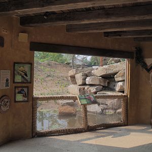 Umvikeli - New aviary for vultures, secretary birds and other African birds - Aviary and viewing area, 2025-06-09
