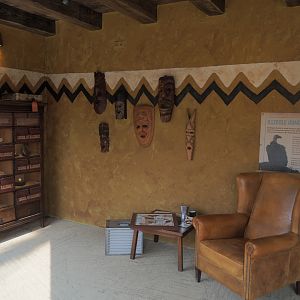 Umvikeli - New aviary for vultures, secretary birds and other African birds - Illegal trade displays in the viewing area, 2025-06-09