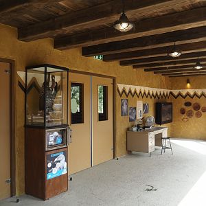 Umvikeli - New aviary for vultures, secretary birds and other African birds - Exit doors and educational displays, 2025-06-09