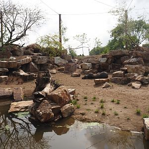 Umvikeli - New aviary for vultures, secretary birds and other African birds, 2025-06-09